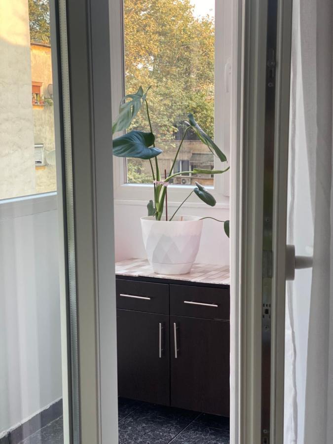 Central Welcoming Apartment In Tirana Exteriör bild