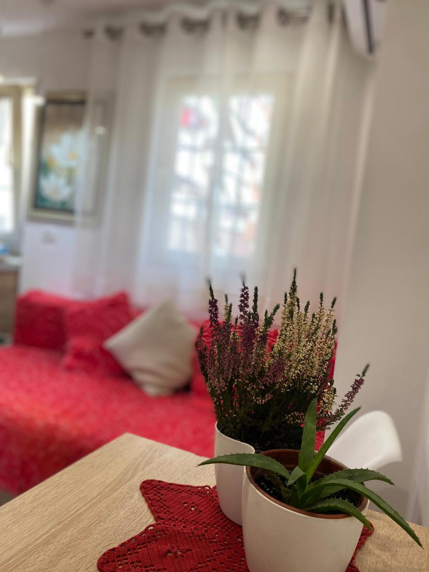 Central Welcoming Apartment In Tirana Exteriör bild